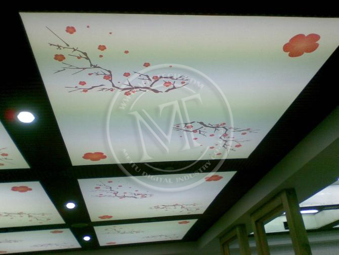 Soft Film Decoration, Roll To Roll UV Printer Printing Sample！MT Digital Industry - Eco Solvent Printer, Solvent Printer, UV Printer, Digital Textile Printer Manufacturer & Supplier! 