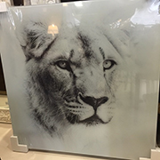 Glass Printer & Glass UV Printer Printing Sample！MT Digital Industry - UV Printer, Eco Solvent Printer, Solvent Printer, Digital Textile Printer Manufacturer & Supplier! 