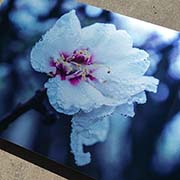 Glass Printer & Glass UV Printer Printing Sample！MT Digital Industry - UV Printer, Eco Solvent Printer, Solvent Printer, Digital Textile Printer Manufacturer & Supplier! 