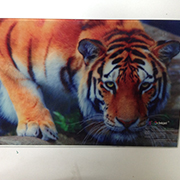 Glass Printer & Glass UV Printer Printing Sample！MT Digital Industry - UV Printer, Eco Solvent Printer, Solvent Printer, Digital Textile Printer Manufacturer & Supplier! 