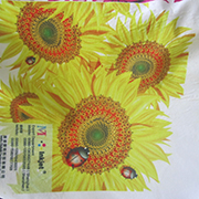 Polyester Fabric Textile Printer & Knitting Polyester Digital Textile Printer Printing Sample！MT Digital Industry - Digital Textile Printer, UV Printer, Eco Solvent Printer and Solvent Printer Manufacturer & Supplier! 