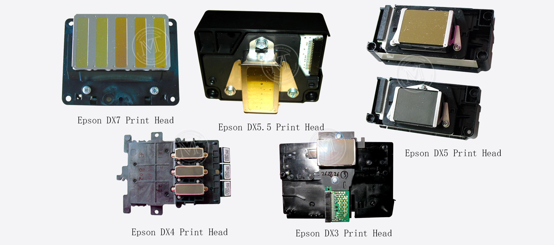 EPSON Эко растворителя печатающая головка